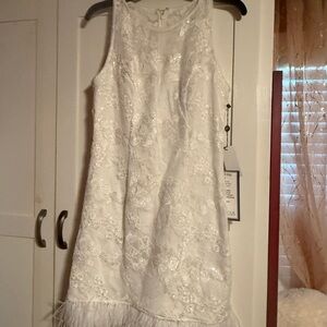 Adrianna Papell Ivory Lace Sleeveless Dress